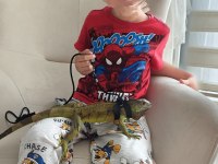 1 Yaşında Evcil İguana
