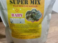 Yeni Yeme Düşen Papağan Yavruları