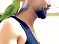 Full Evcil Alexander 6 Aylık