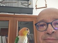 7 Aylık Bebek Caique