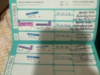 4 Aylık Aşıları Tam Pomeranian