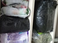 3 Aylık Ginepig Ve Tüm Malzemeleri Dahil