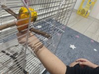 11 Aylık Güneş Konur