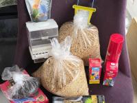 1 Adet Erkek Yavru 6 Aylık Muhabbet Kuşu Ve 2 Adet Kuş Kafesi