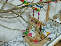 El Yapımı Geniş Ahşap Oyun Kafesi