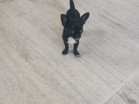 2.5 Aylık Çok Akıllı Benim Güzel Kızım