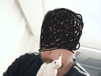 Ele Alışık Konuşturmalık Yada Damızlık Sultan Yavrusu