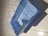 Lop Tavşanı Ve Kafes Setleri