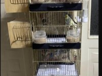 3 adet muhabbet kuşu ve üretim kafesi yuvalıklar satılıktır