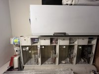 Yerli muhabbet askere gideceğim dolayı sahiplendirilecektir