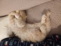 İlan Kaldırılmıştır.