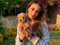 Üst kalite maltipoo yavrularımız