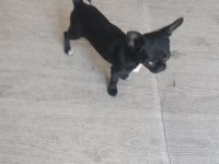 2.5 Aylık Çok Akıllı Benim Güzel Kızım