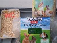 On Aylık Erkek Evcil Tavşan Kafesi Tüm Malzemeleri Vardır. Çift Katlı Kafes 3 Parça