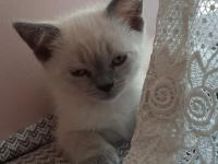 Yeni Yuvamiza Gitmeye Hazırız