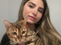 Elite Bengal Cat-Pure Beauty