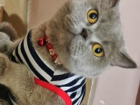 Anne Kedimiz Ve Kızı