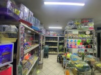 Hamster Baby Fish Aquarium Antalya