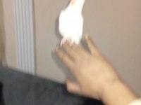 İnsan Aşığı Sultan Papağanımız