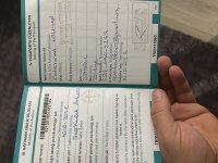 Ücretsiz Maltese Terrier