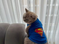 Mars'a Yuva Arıyoruz - Ücretsiz Scottish Straight