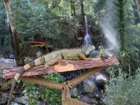 Yetişkin Uysal Ele Omuza Gelir İguanalar