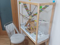 Sultan Papağanı Ve El Yapımı Oyun Kafesi