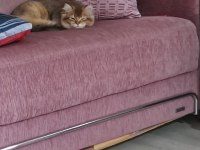 British Ve Tekir Kırma