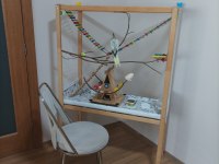 Sultan Papağanı Ve El Yapımı Oyun Kafesi