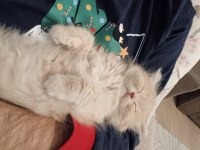 İlan Kaldırılmıştır.