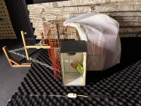 Takım Sevda Papağanı