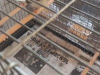 Damızlık yumurtalı bengay