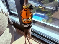 Orijinal Safkan Canada Dişi Sfenks