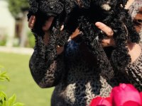 Siyah Poodle Bebekler