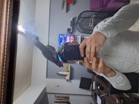 Kapalı Bilezikli Red Faktör Jako Papağanı