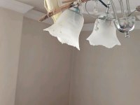 Limon Sarısı Sultan Papağanı