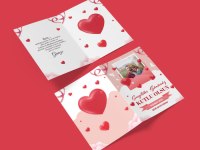 İstanbul İçi Adrese Teslim Kapıda Ödeme Muhabbet Kuşu