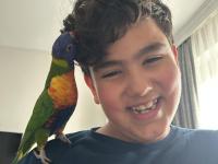 Rengarenk Lori Papağanı