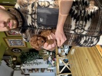 Safkan Teacup Poodle Yavrumuz