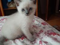 Yeni Yuvamiza Gitmeye Hazırız