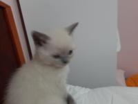 Yeni Yuvamiza Gitmeye Hazırız