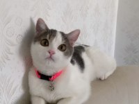 1 Yaşında Peri Kızım