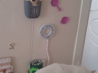 Kartopu Kedim Ücretsiz