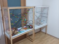 El yapımı geniş ahşap oyun kafesi