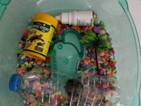 Su Kaplumbağaları Ve Tüm Malzemeleri Ayağınıza Geldi