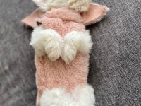 Dünya Tatlısı Terrier Yavruları