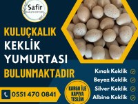 Kekliğin doğru adresi