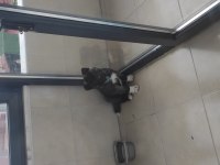 Safkan amerikan akita