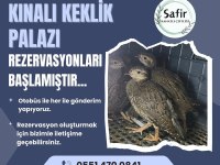 Keklik yavrusu bulunmaktadır