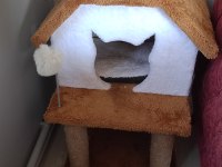 Tamamen Ücretsiz Kedi Evi İle Beraber